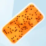 Passion Fruit